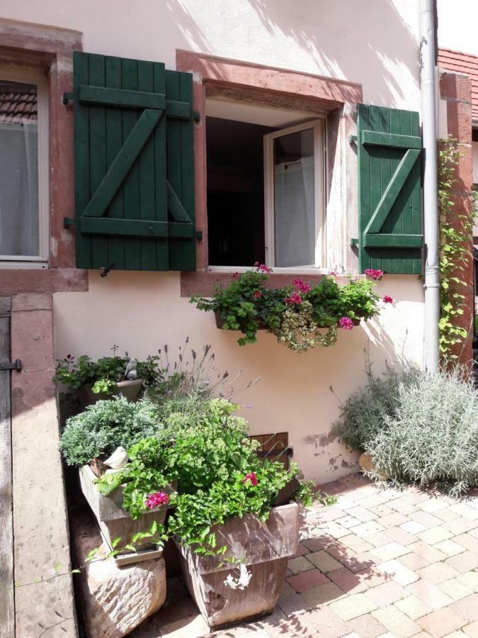 Charmant Petit Appartement En Alsace Bouxwiller  Bagian luar foto